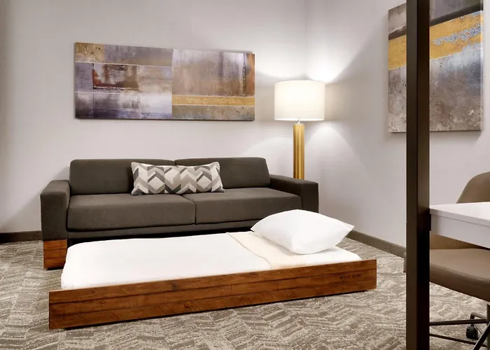 Springhill By Marriott Phoenix